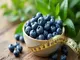 superfood-heidelbeeren-warum-sie-beim-abnehmen-unverzichtbar-sind